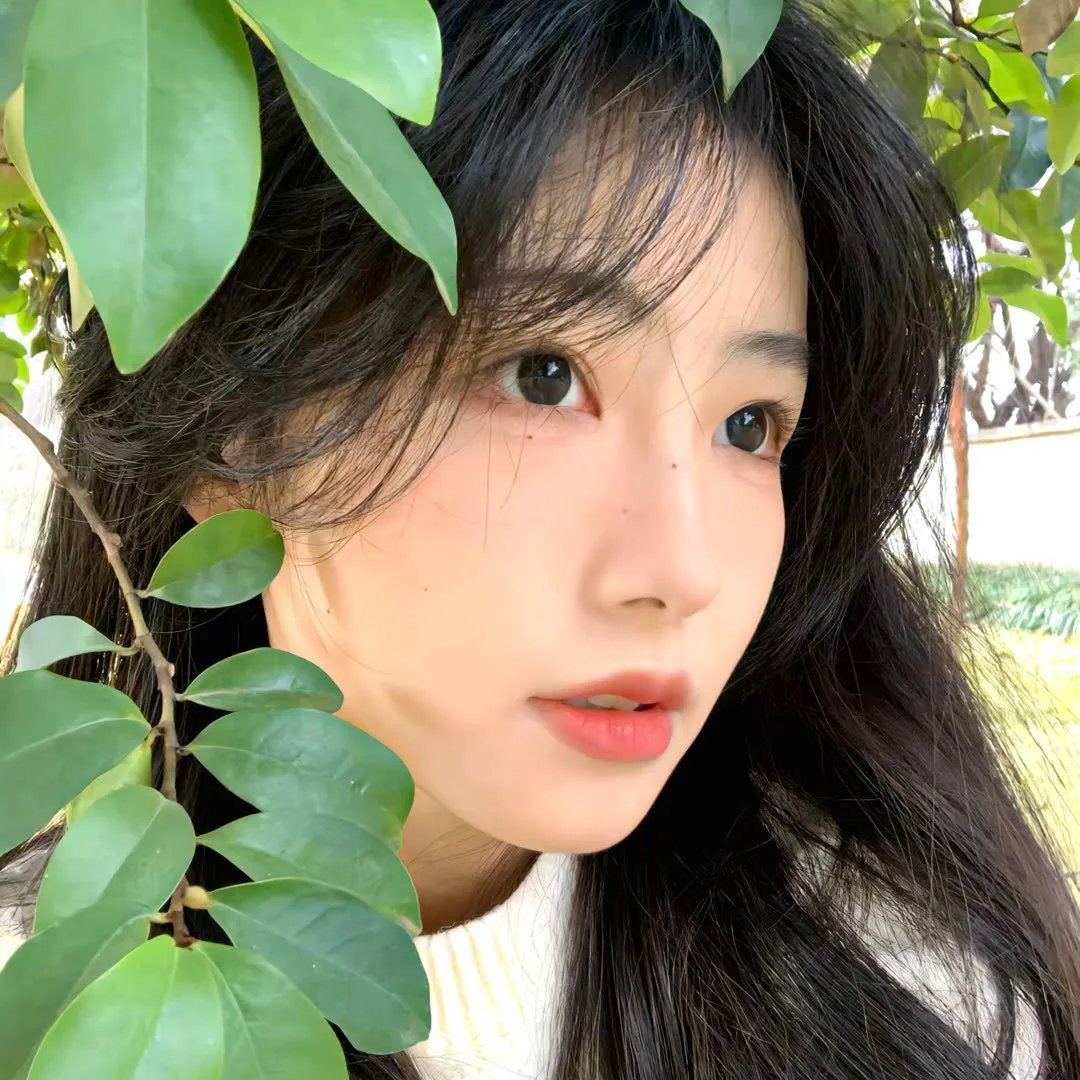 真爱未了情 海报
